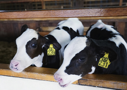 �B(y��ng)ֳ�ИI(y��)��ˮ�^�V����